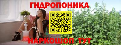 СК Абинск