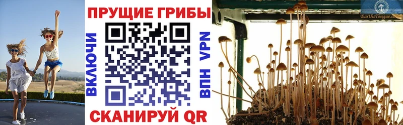 Псилоцибиновые грибы GOLDEN TEACHER  Ангарск 