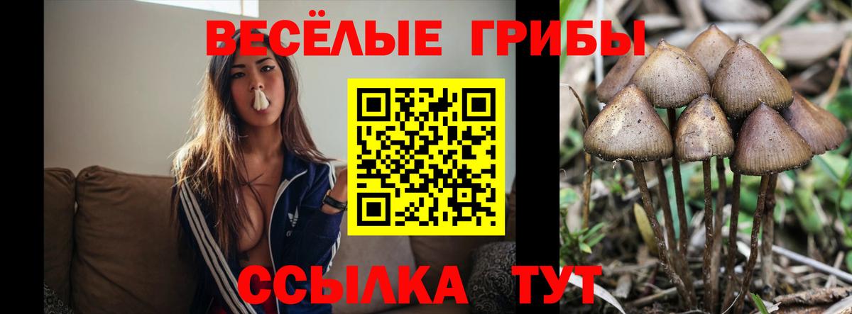 Псилоцибиновые грибы Psilocybine cubensis  Вход с VPN  Ангарск  Псилоцибиновые грибы Magic Shrooms 