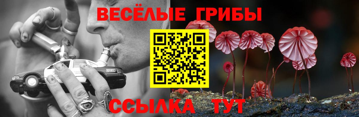 Галлюциногенные грибы MAGIC MUSHROOMS  Вход с VPN  Ангарск 